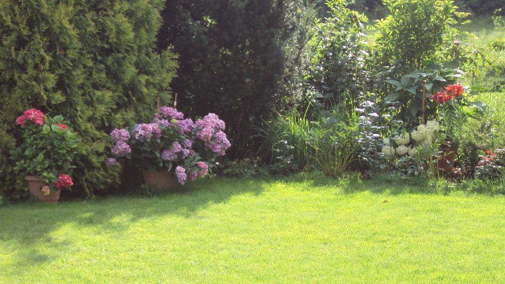 Apartamento As Gosciniec Mikołajki Exterior foto